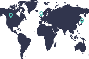 Overseas Company Formation